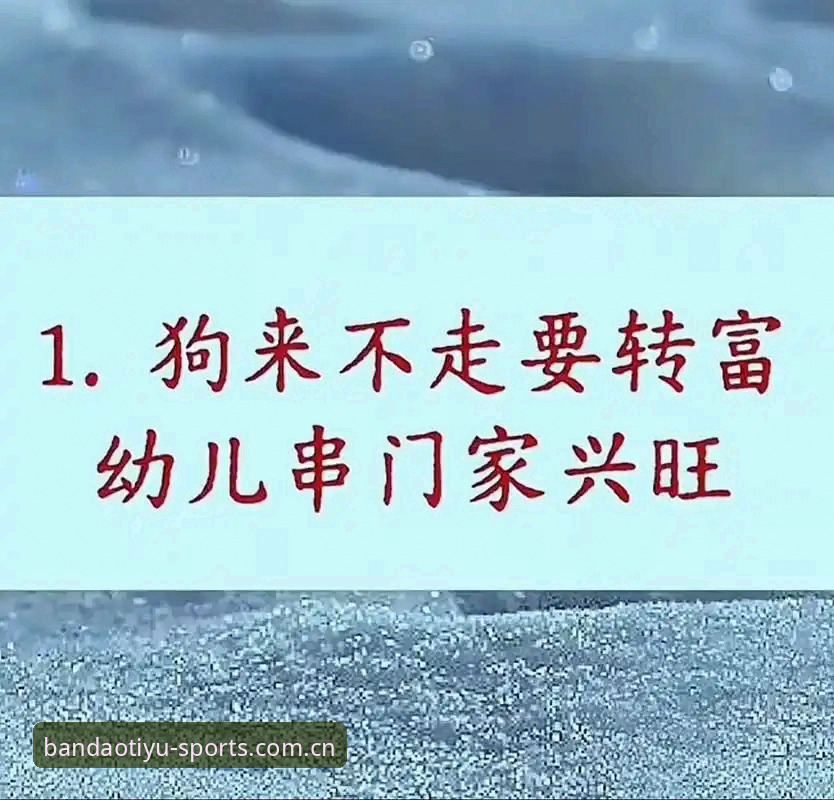 半岛体育平台2025新版深度评测：当“找入口”成为一门玄学，我们替你把门踹开了